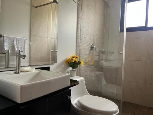 a bathroom with a sink and a toilet and a shower at Posada Tierra Viva - Villa de Leyva in Villa de Leyva