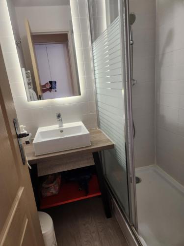 a bathroom with a sink and a shower with a mirror at Residence de bordaberry in Urrugne