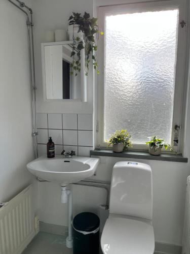 a bathroom with a sink and a toilet and a window at Trevlig lägenhet centralt i Kumla in Kumla