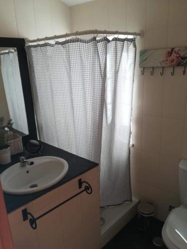 a bathroom with a sink and a shower curtain at Casa da Encosta - Piódão in Piódão