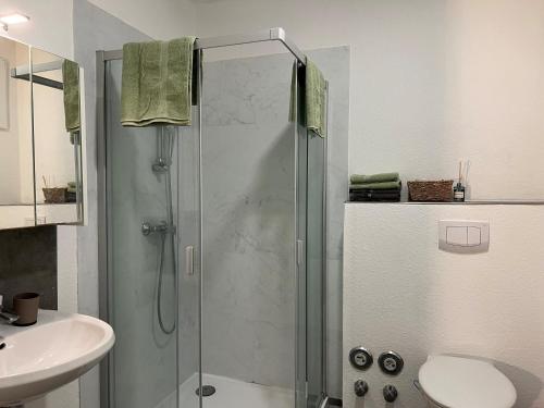 a bathroom with a shower and a sink at Nahe Schlosspark Husum in Husum