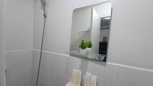 a bathroom with a mirror and a plant on a glass shelf at Plumera Mactan Condominium near Airport in Bankal