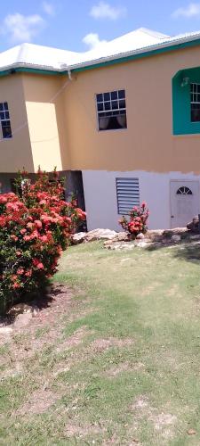 a house with two bushes with flowers in front of it at Carol Resident in The Grove