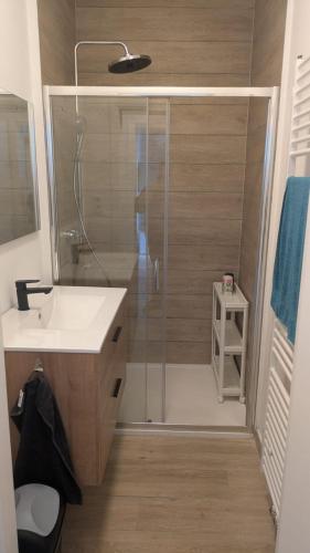a bathroom with a shower with a sink and a glass shower door at Liège City break in Liège