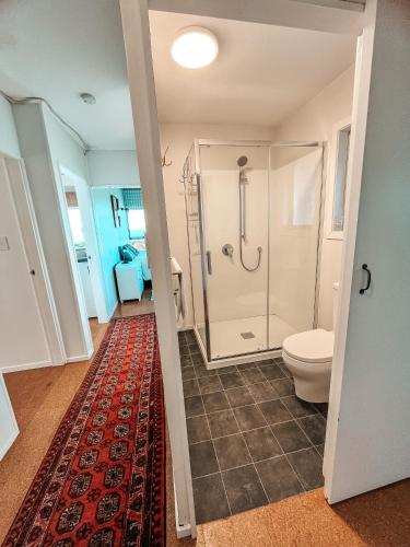 a bathroom with a shower and a toilet at Patons Rock Cutie in Rangihaeata