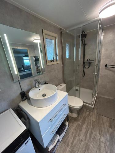 a bathroom with a sink and a shower and a toilet at 208 Chalet Bosrust in Anloo