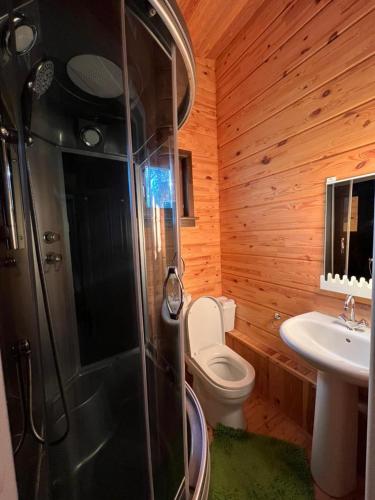 a bathroom with a shower and a toilet and a sink at Семейный коттедж in Bulan Sogottuu