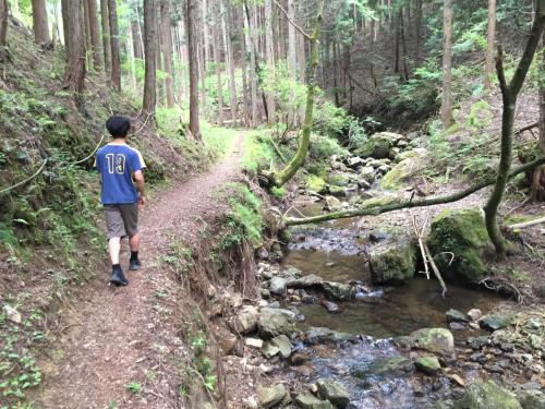 a man walking down a trail in the woods at Goemon Kyoto Japan in Kyoto