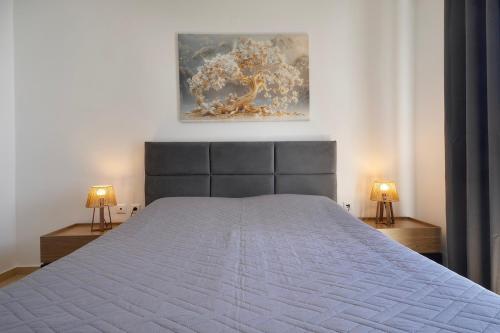 Evina's Apartment