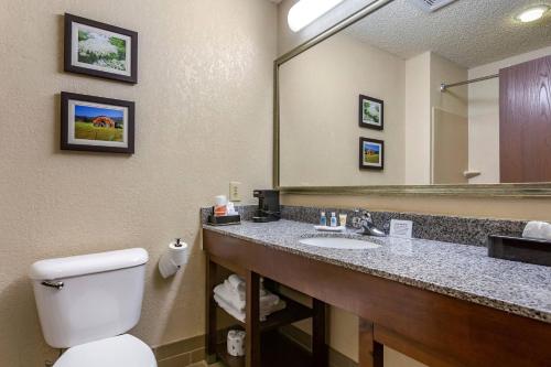 a bathroom with a sink and a toilet and a mirror at Comfort Suites Jonesboro University Area in Jonesboro