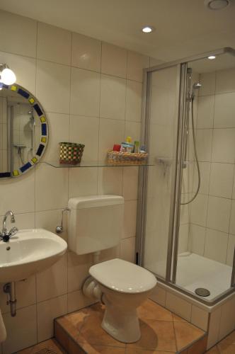 a bathroom with a shower and a toilet and a sink at Ferienhaus Alicia in Hilders