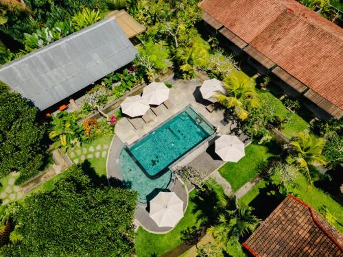 an overhead view of a swimming pool with umbrellas and a pool at Puri Kurnia Ayu in Ubud