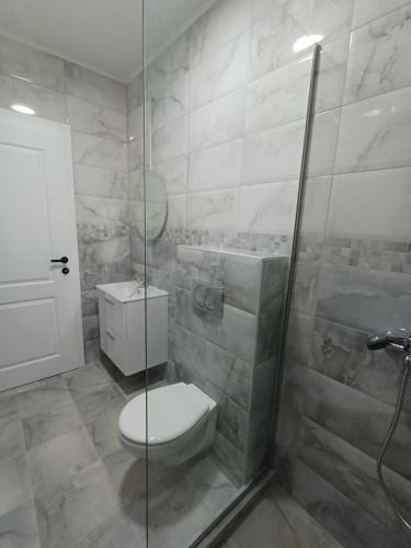 a bathroom with a toilet and a glass shower at RIO Residence in Soko Banja