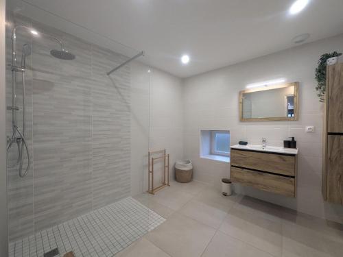 a bathroom with a shower and a sink at Gîte du joliment in Consigny