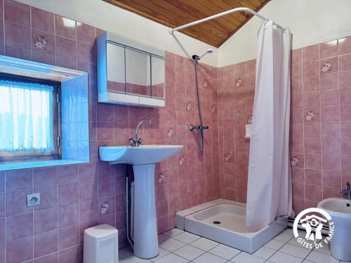 a bathroom with a sink and a shower at Le gîte de cals haut in Lacombe