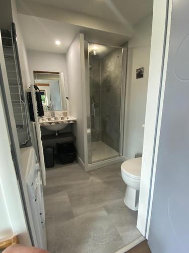 a bathroom with a shower and a toilet and a sink at Hameau de la Brelaudière in Jullouville-les-Pins