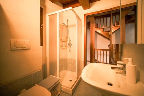 a bathroom with a shower and a sink and a toilet at Casa Valerija in Aurisina