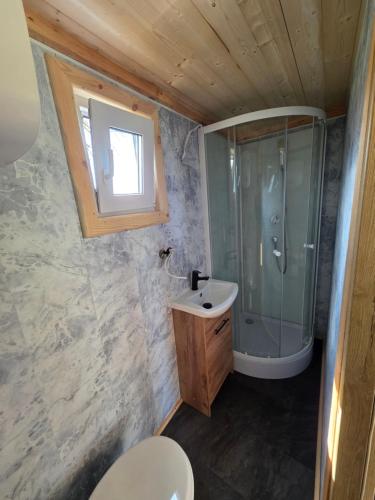 a bathroom with a shower and a sink and a toilet at Domek POD LASEM in Białowieża