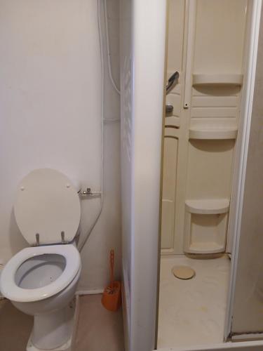 a small bathroom with a toilet and a shower at Studio privatif in Figeac