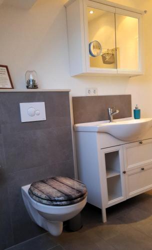 a bathroom with a toilet and a sink at Ferienwohnung auf Vierseitenhof in Senftenberg
