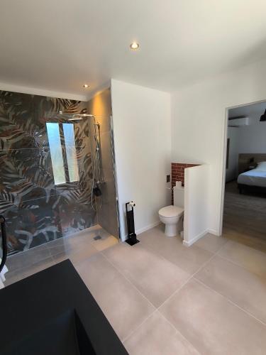 a bathroom with a shower and a toilet in a room at Hôtel Du Viaduc in Tarascon