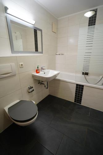 a bathroom with a toilet and a sink at Radebeul Altkötzschenbroda in Radebeul