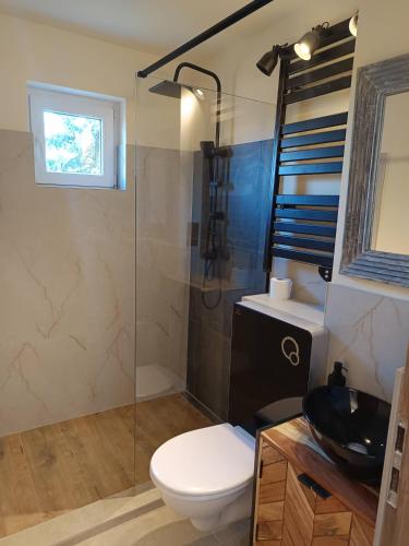 a bathroom with a toilet and a glass shower at B23 Apartman in Harkány