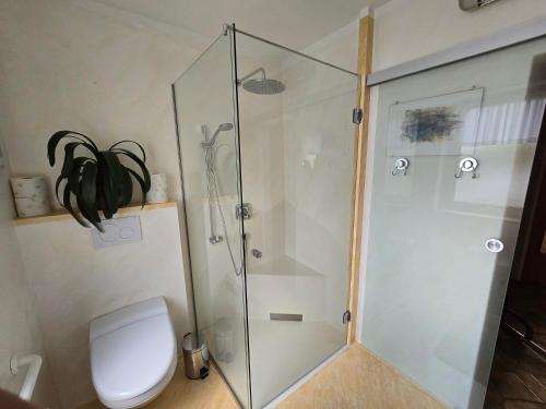 a bathroom with a toilet and a glass shower at Ferienwohnungen Knaus in Knittelfeld