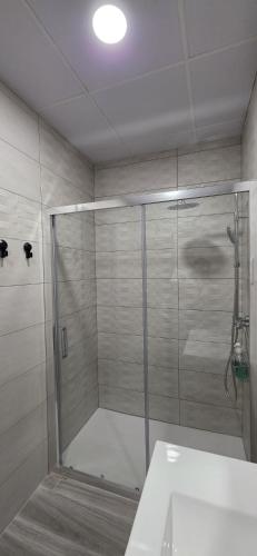 a shower with a glass door in a bathroom at Tanez Garden Apartamentos in Madrid