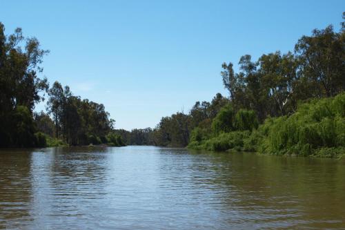 a river with trees on the side of it at Bundalong Hideaway in Bundalong