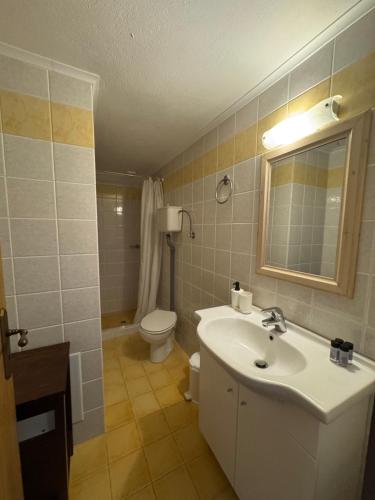 a bathroom with a sink and a toilet at Frigias 4 in Arachova