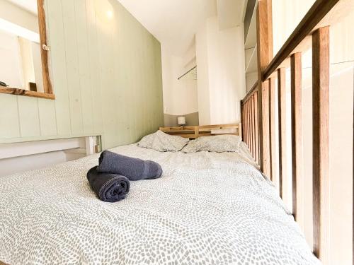 Llit o llits en una habitació de Studio Cosy au centre de Chatelguyon