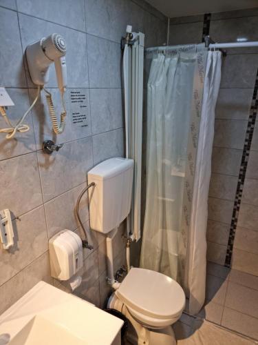 a bathroom with a toilet and a shower at Apartmani Stan Na Dan in Šabac