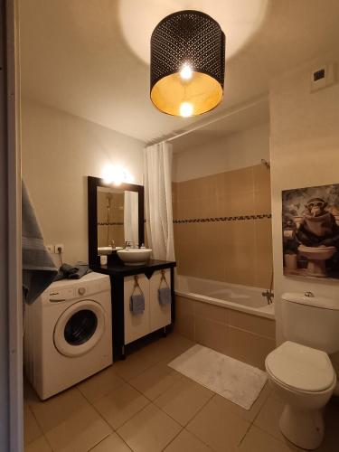 a bathroom with a washing machine and a toilet at Studio avec parking gratuit in Cenon