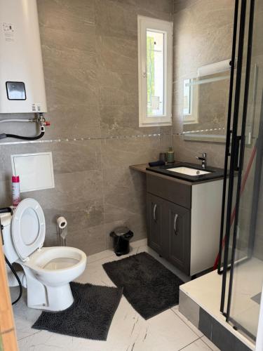 a bathroom with a toilet and a sink at Le soleil de l'estaque in Marseille