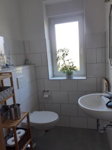 a bathroom with a toilet and a sink and a window at Erholung am Deich in Kollmar
