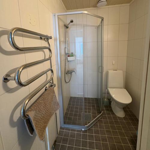 a bathroom with a shower and a toilet at Korpinpesä in Korppoo
