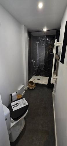 a small bathroom with a toilet and a shower at La casa valentine in Calais