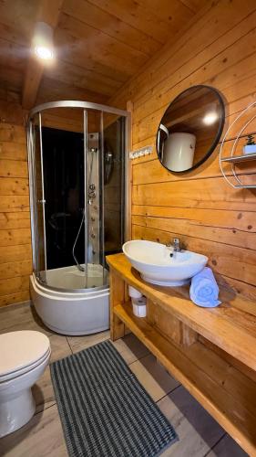 a bathroom with a toilet and a sink and a shower at Osada Kryspinów in Cholerzyn