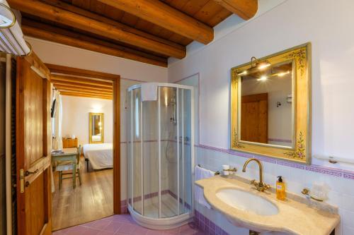 a bathroom with a shower and a sink and a mirror at Agriturismo Althea in Vittorio Veneto
