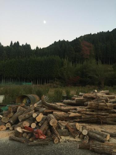 a pile of logs on the ground in a field at Goemon Kyoto Japan in Kyoto