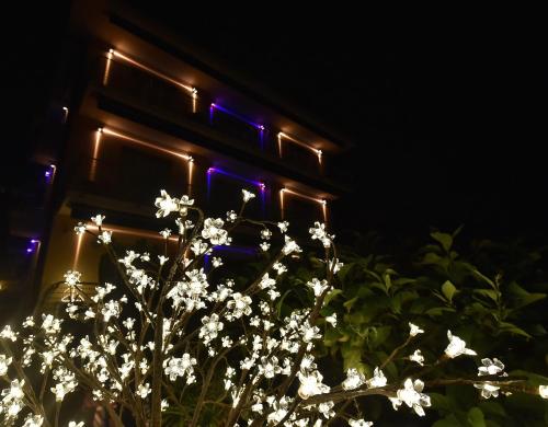 Φωτογραφία από το άλμπουμ του Hotel Villa Delibera σε Varazze