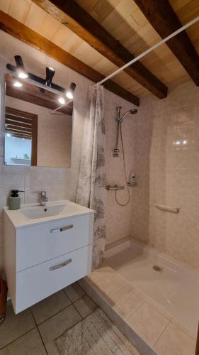 a bathroom with a white sink and a shower at Gîte et chambres d'hôtes Aux Charlots in Lagarde-Hachan