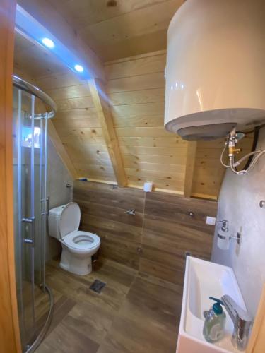 a bathroom with a toilet and a shower and a sink at Guest House Višnja in Žabljak