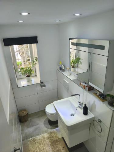 a white bathroom with a sink and a toilet at Herdecke, Ruhrperle in Herdecke