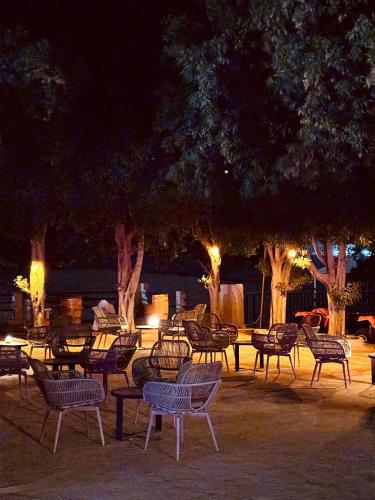 a group of chairs and trees at night at Desert Safari in Margham