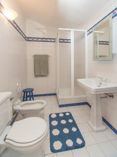 a bathroom with a toilet and a sink and a shower at Quinta dos Avós in Viana do Castelo