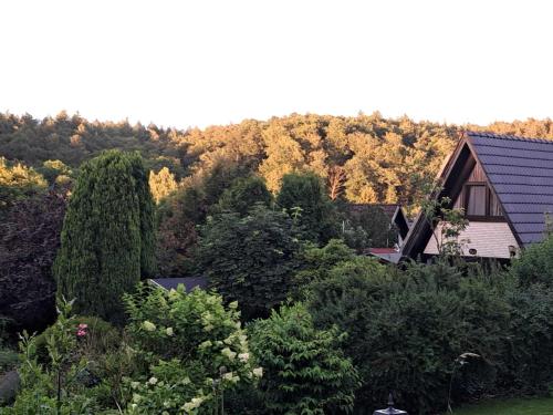 a house in the middle of a forest of trees at Haus Rosengarten 2 in Bad Wünnenberg