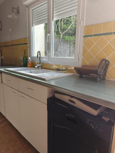a kitchen counter with a sink and a window at Aubrion de Cremens in Magnan