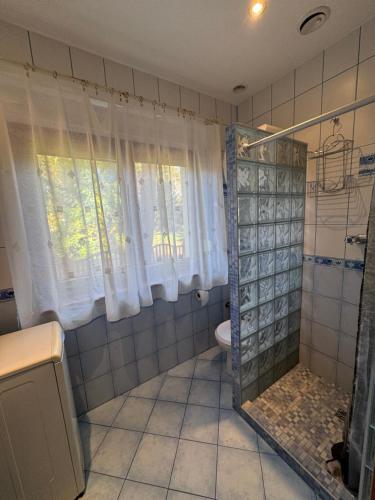 a bathroom with a shower and a toilet and windows at Domek nad jeziorem Mierzyńskim 50m2 in Mierzyn